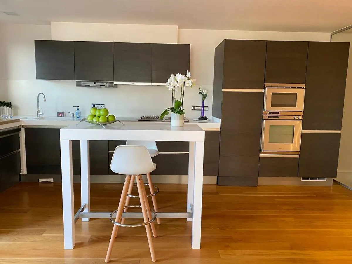 Singular Y Espacioso Apartamento Ondarreta Beach San Sebastian
