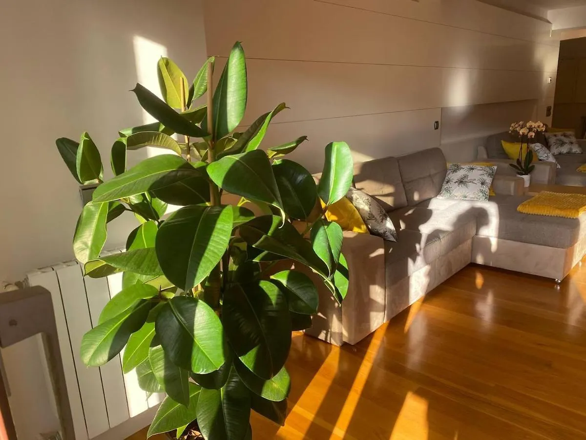 Singular Y Espacioso Apartamento Ondarreta Beach San Sebastian 0*,